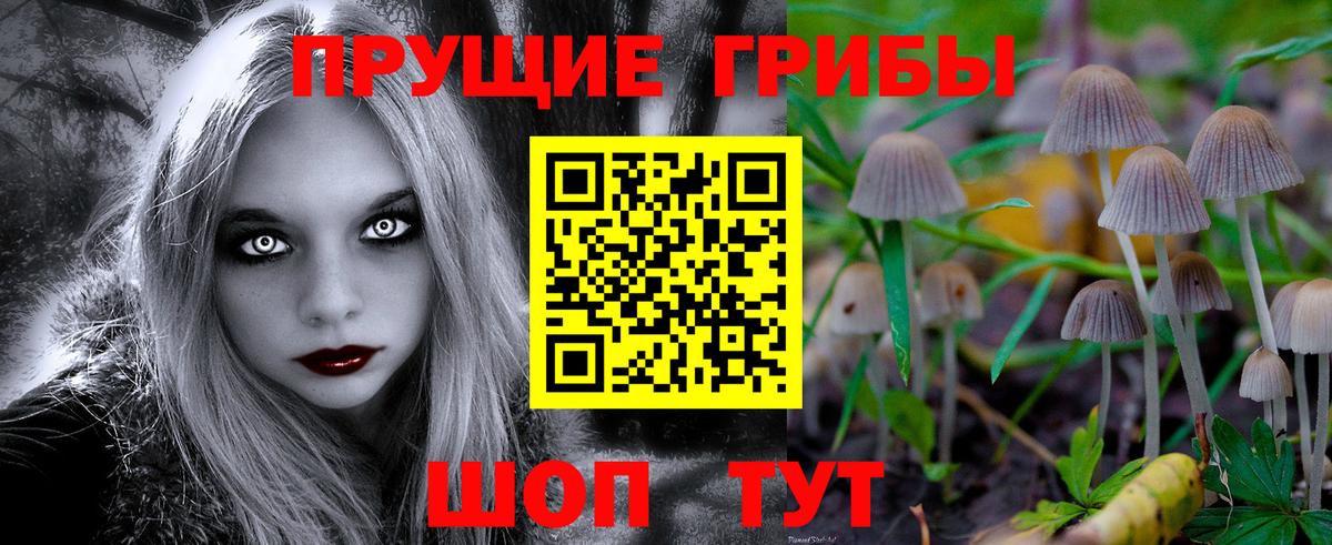 Галлюциногенные грибы Cubensis Шелехов